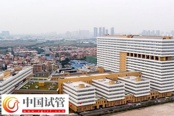 佛山試管嬰兒價格整理，做到這3點少花冤枉錢！(圖1)