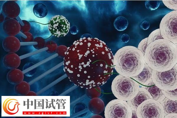 晉中人工授精如何收費(fèi)(圖1)