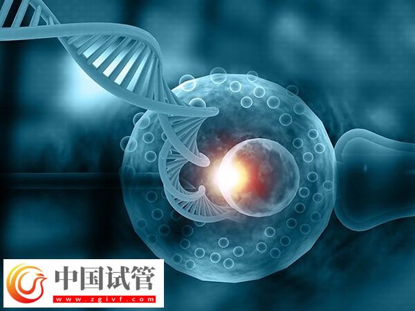 赤峰試管嬰兒醫(yī)生哪個好(圖1)