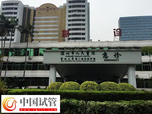 深圳試管嬰兒機(jī)構(gòu)大盤點(diǎn)，成功率高達(dá)55%的有這3家！(圖2)