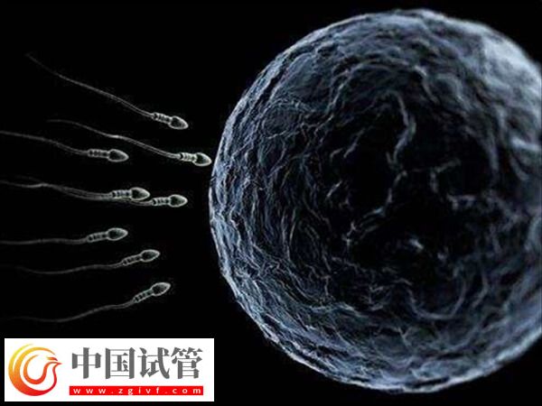 天津開(kāi)展供精人工授精技術(shù)的醫(yī)院有哪幾家？(圖1)