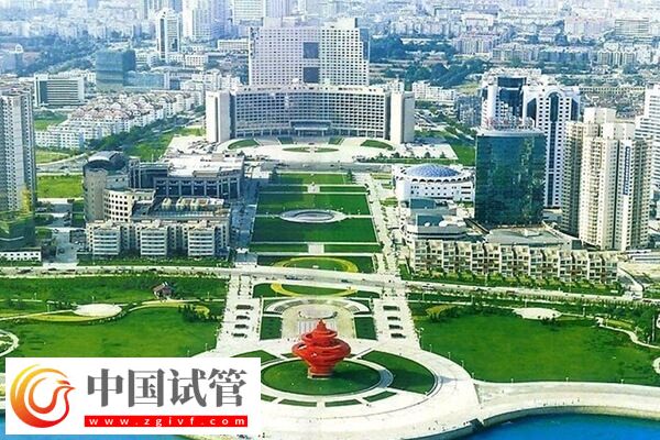 天津哪些醫(yī)院能做二代試管嬰兒？成功率是多少？ 問(wèn)題描述：(圖1)