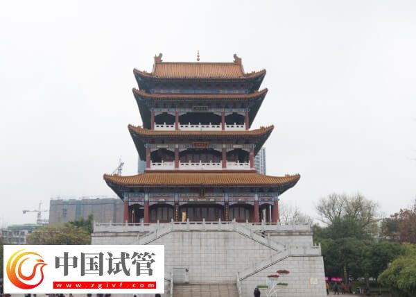 宜春試管嬰兒醫(yī)院有哪些(圖1)