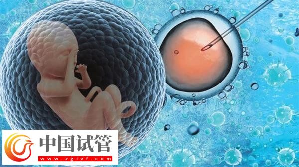 景德鎮(zhèn)市婦幼保健院試管費(fèi)用及成功率一網(wǎng)打盡，匯總?cè)?圖1)