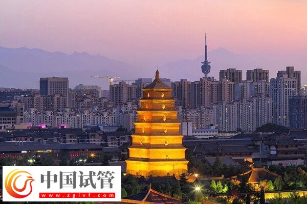 河池哪些不孕不育醫(yī)院好(圖1) 河池哪些不孕不育醫(yī)院好(圖1)