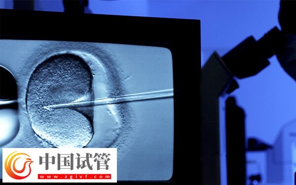 貴港試管嬰兒費(fèi)用多少(圖2)
