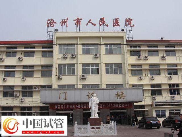 滄州人民和中心醫(yī)院做試管哪個(gè)好(圖1)