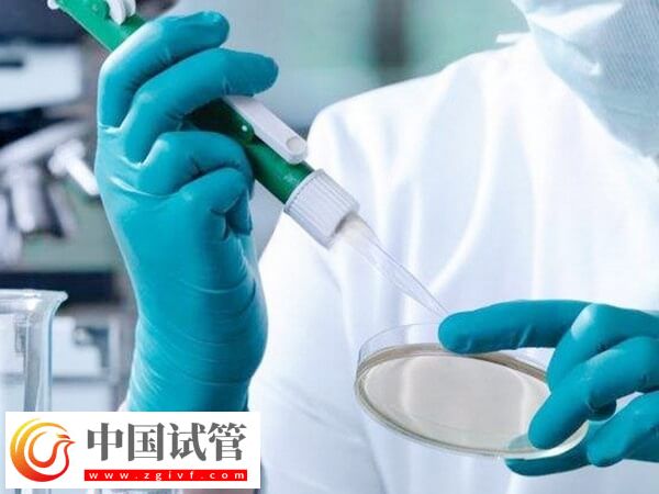 長治和平醫(yī)院試管生雙胞胎費(fèi)用多少(圖2)