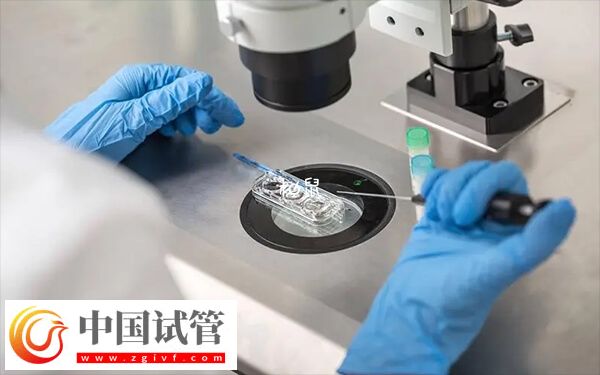 高齡做第二代試管有沒有風(fēng)險(xiǎn)(圖1)