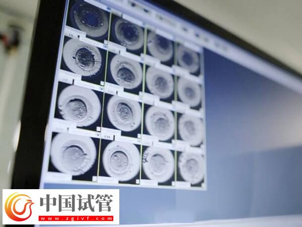 胚胎8細(xì)胞好還是9細(xì)胞好(圖1)