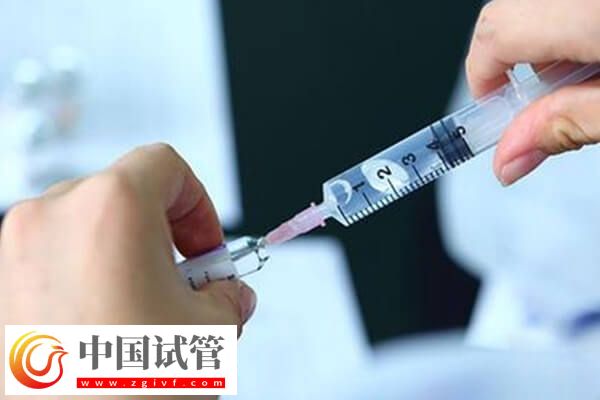 試管促排只有2個(gè)卵泡正不正常(圖1)