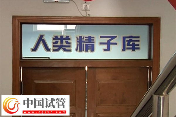 申請(qǐng)供卵排隊(duì)時(shí)間(圖1)