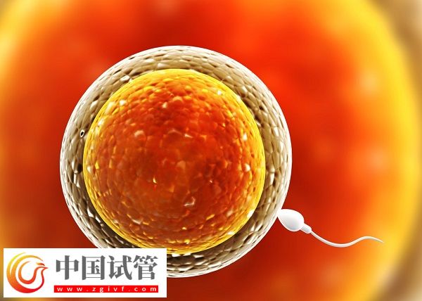 河南省人民醫(yī)院生殖中心胚胎保存費(fèi)(圖1)