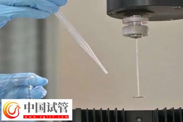 試管3代為什么還會(huì)發(fā)育異常(圖1)