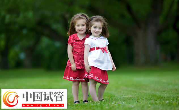 大連試管嬰兒費(fèi)用解析：雙胞胎與單胞胎的差異！(圖1)