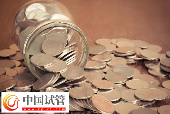 大連試管嬰兒費(fèi)用解析：雙胞胎與單胞胎的差異！(圖2)