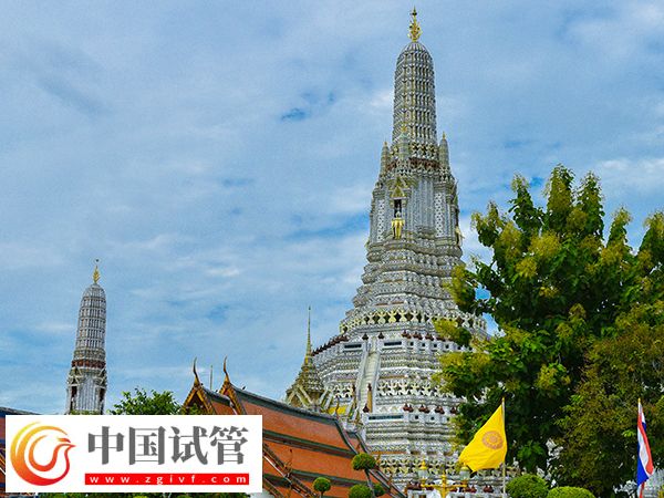 泰國(guó)試管嬰兒流程(圖1)