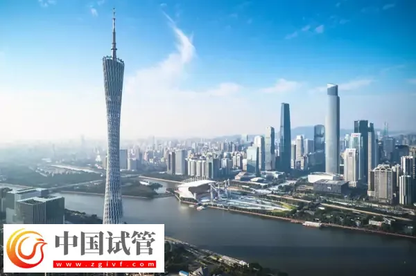 廣州單身試管嬰兒預(yù)約流程(圖1)