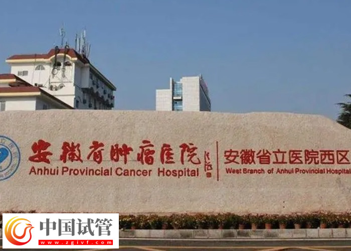 安徽省立醫(yī)院凍胚時間到了怎么續(xù)費(圖1)