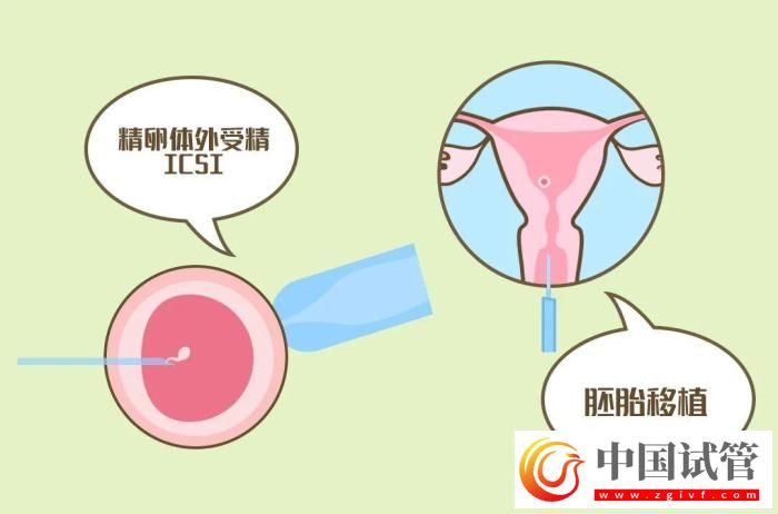 試管嬰兒有哪些出乎意料的概念？(圖6)