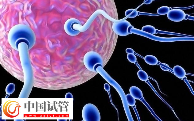 上海新華醫(yī)院?jiǎn)紊砦椿闊o(wú)證怎么做三代試管嬰兒生子？(圖1)