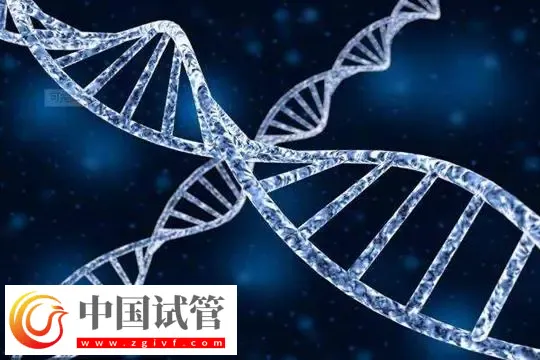 臺州醫(yī)院單身女性怎么生孩子？附單身試管的步驟流程(圖1)