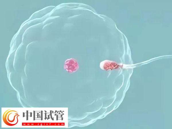 高齡試管有什么風(fēng)險(xiǎn)(圖1)