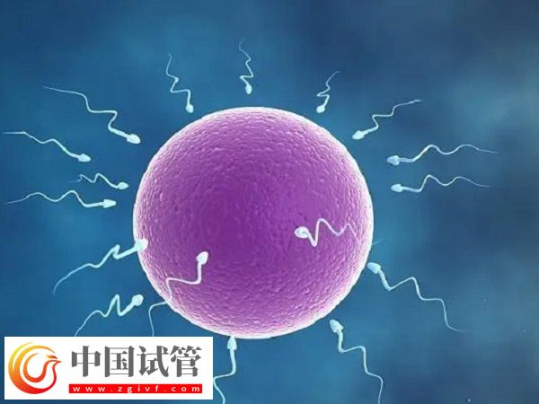 實(shí)施試管懷孕4個(gè)月穩(wěn)不穩(wěn)定(圖2)