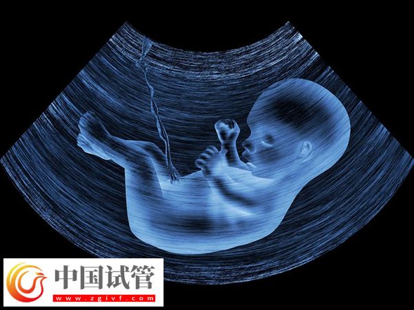 實(shí)施試管懷孕4個(gè)月穩(wěn)不穩(wěn)定(圖3)