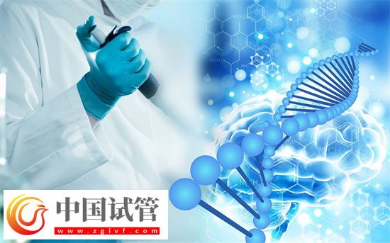試管嬰兒一般做多少次能成功？(圖2)