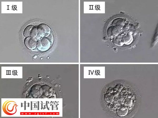 南昌婦幼做試管醫(yī)生排名(圖2)
