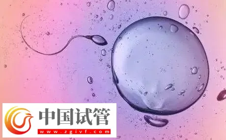 杭州私立醫(yī)院做三代試管怎么樣？附包生男孩費(fèi)用一覽表介紹(圖3)