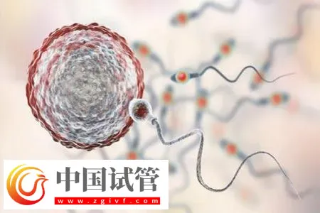杭州私立醫(yī)院做三代試管怎么樣？附包生男孩費(fèi)用一覽表介紹(圖2)
