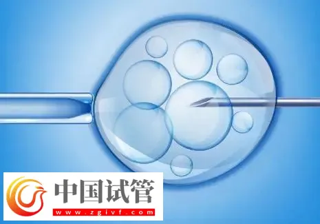 濟(jì)南2025試管助孕代/懷產(chǎn)子機(jī)構(gòu)名單，附流程與費(fèi)用介紹(圖1)