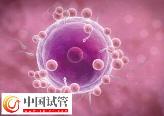 廣西三代試管助孕生孩子費(fèi)用清單公布：最低九萬起(圖1)