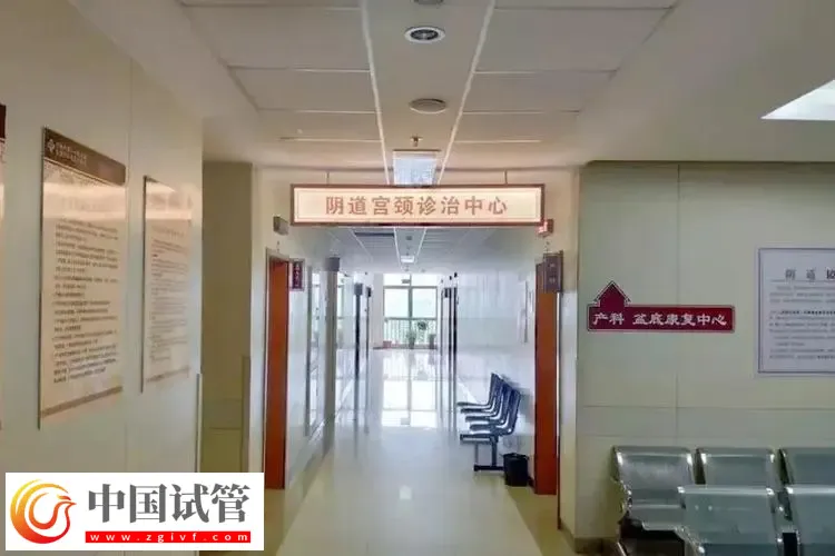 濟(jì)南試管醫(yī)院成功率最高的前三名：這幾家紛紛上榜(圖2)