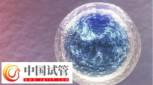 鄭州做試管比較出名的醫(yī)院前三名，附三代包生男孩費(fèi)用介紹(圖1)