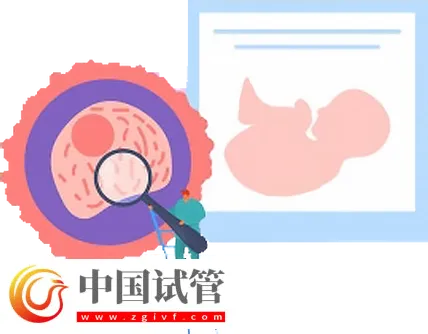 北京試管助孕大概要多少錢(qián)？這是2024最新收費(fèi)標(biāo)準(zhǔn)(圖2)