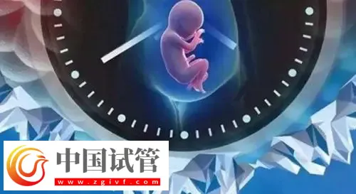 重慶助孕機(jī)構(gòu)名單匯總，附聯(lián)系方式與三代包生男孩費(fèi)用清單(圖1)