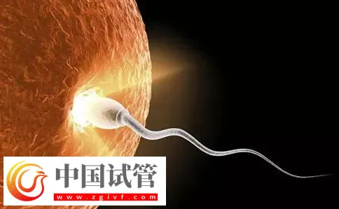 重慶助孕機(jī)構(gòu)名單匯總，附聯(lián)系方式與三代包生男孩費(fèi)用清單(圖3)