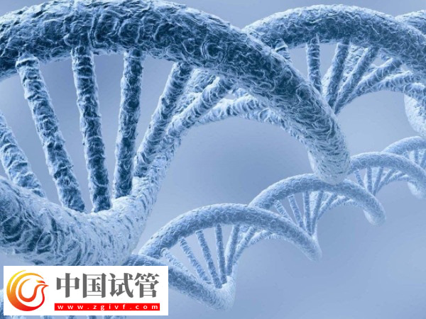 做供精成功后是否要做無創(chuàng)DNA(圖1)