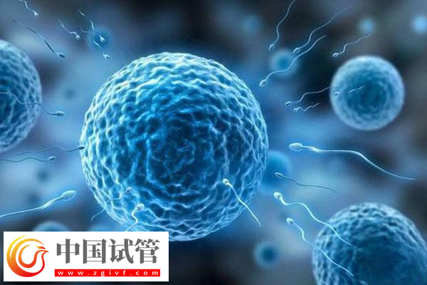 國外試管嬰兒技術(shù)成不成熟(圖2)