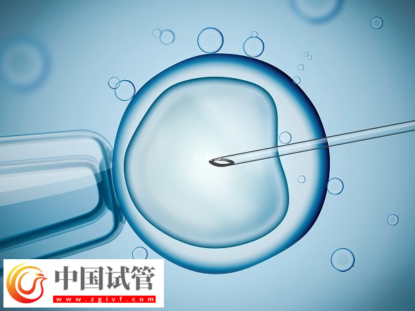 夫妻去美國做試管怎么選擇醫(yī)院(圖1)