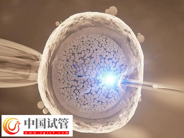 前往北京做試管費(fèi)用是多少(圖1)