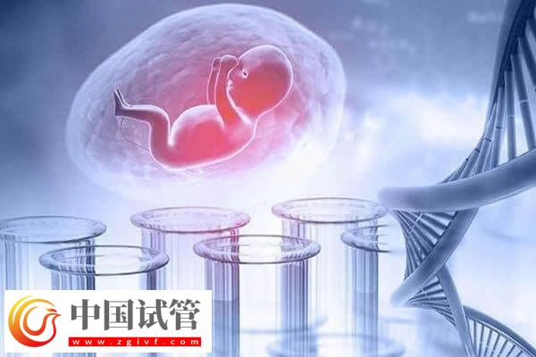 做試管嬰兒要建檔后才能進(jìn)入促排卵周期嗎？(圖1)