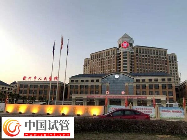 贛州三家做試管嬰兒的公立醫(yī)院哪家移植成功率高？(圖1)