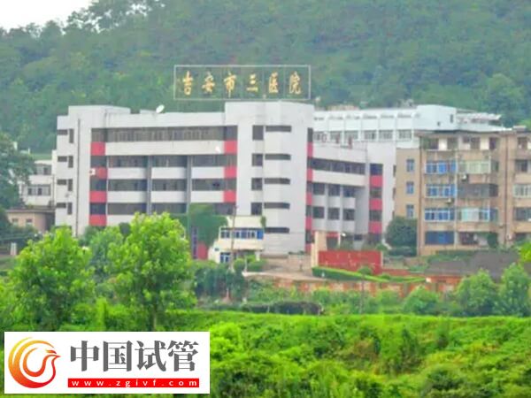 吉安市第三人民醫(yī)院二代試管穿刺取精的成功率高嗎？(圖1)
