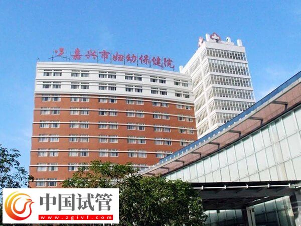 嘉興市婦幼保健院做試管嬰兒單囊胚移植成功率有多高？(圖1)
