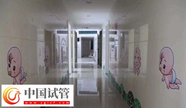 湖州試管嬰兒醫(yī)院成功率排名比較好的有哪些？(圖1)
