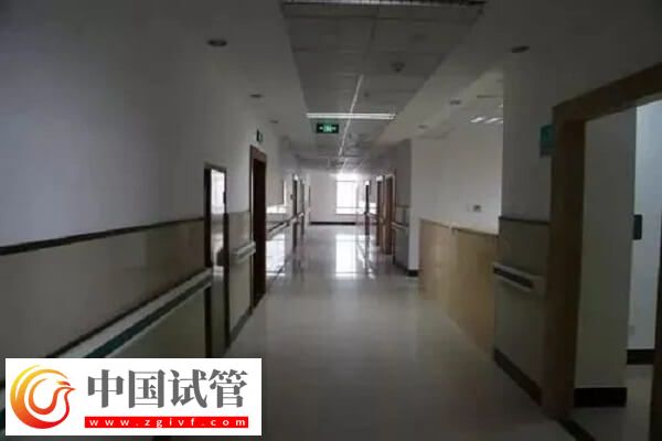 衢州公立試管醫(yī)院中成功率排名第一的是哪家？(圖1)